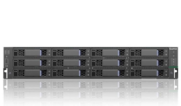 Suma H520-C30(Hygon 5131*2/32GB/2TB*6/550W*2/12 отсеков для накопителей)
