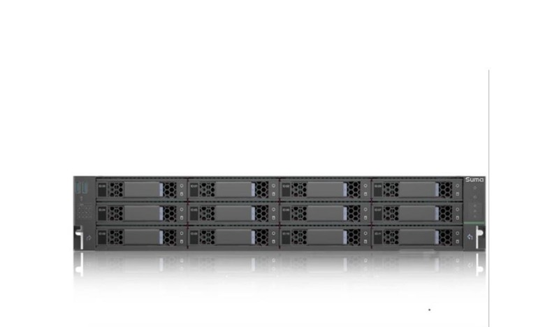 Suma R520 H40 (S316/32GB/1*4TB/2GE)