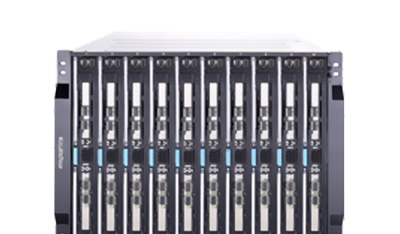Inspur Yingxin NX5840(Xeon E5-2620 v2/8GB/500G)