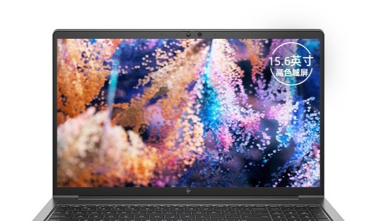 HP Zhan 99 2020(i5 10300H/16GB/512GB/P620)